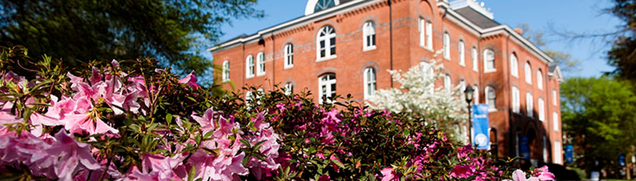 Board of Trustees Alumnae Search | Spelman College | Atlanta, GA