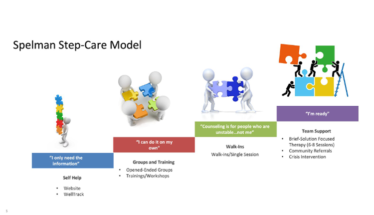 Step Care Model