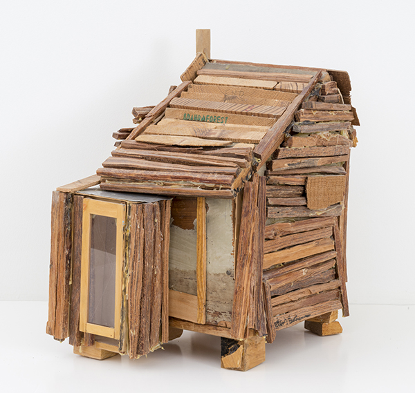 Beverly Buchanan—Ruins and Rituals