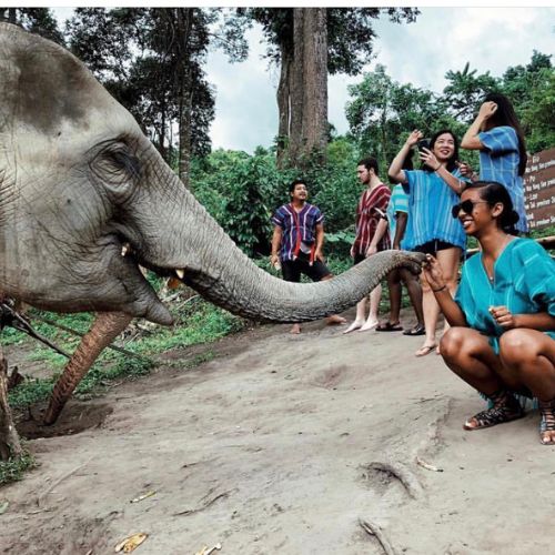 Study Abroad Thumbnail