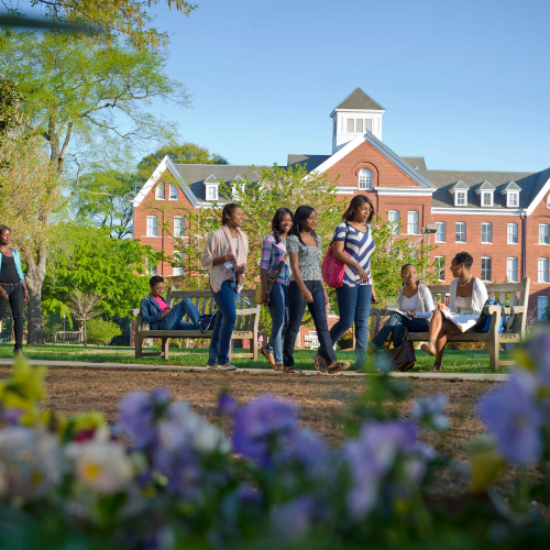 Stock photo Spelman thumbnail 