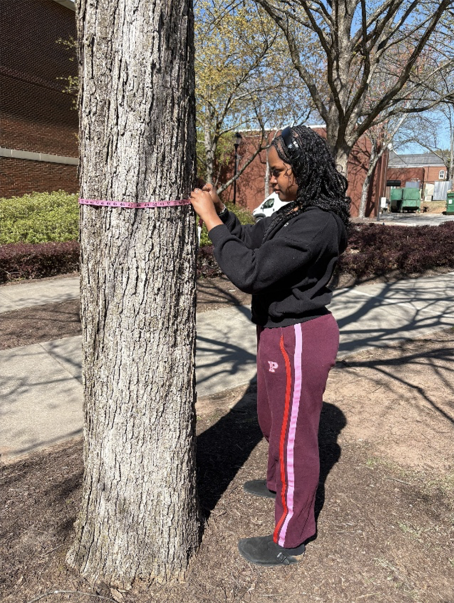 Spelman College Arboretum